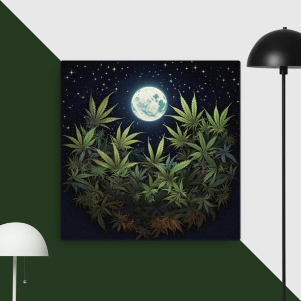 Thin canvas